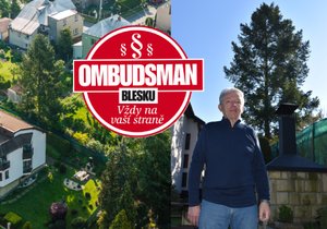 Náš život ohrožuje sousedův strom, bojí se Zdeněk z Ostravy.