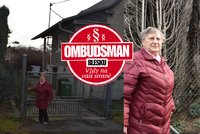 Zoufalá Bronislava (75) 12 let bojuje se sousedem: Zahradu stíní 26 tújí!