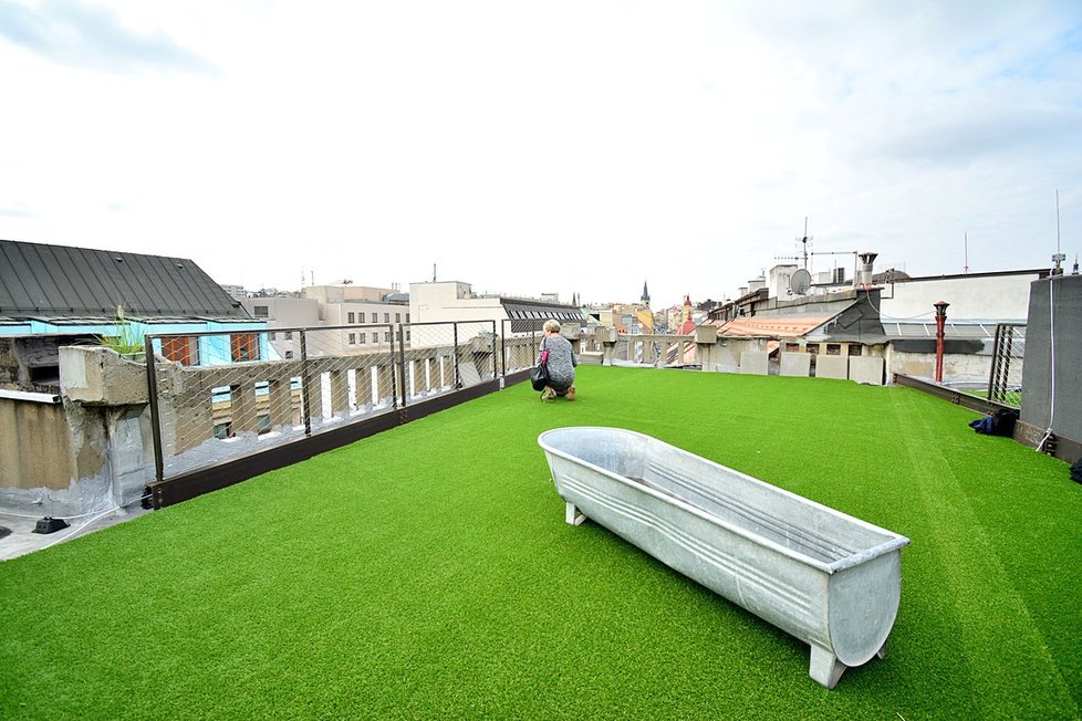 Ondřej Kobza proměnil střechu Lucerny v zelenou louku. Umělý trávník je prý více eko, tvrdí kavárník.