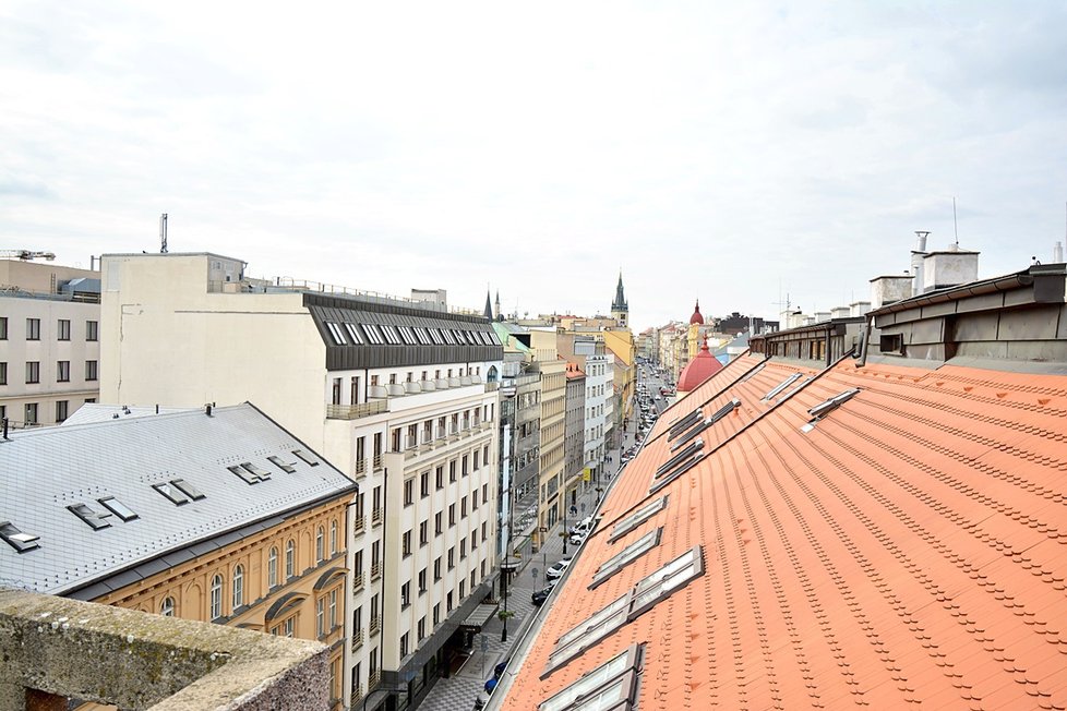 Ondřej Kobza proměnil střechu Lucerny v zelenou louku. Umělý trávník je prý více eko, tvrdí kavárník.