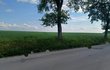 Místo tragické nehody Ondřeje Křivky (†38) Místo tragické nehody Ondřeje Křivky (†38)