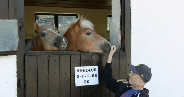 Ondřejovi se splnilo poslední přání. Byl v Rakousku na farmě, kde mají koně Haflingy.