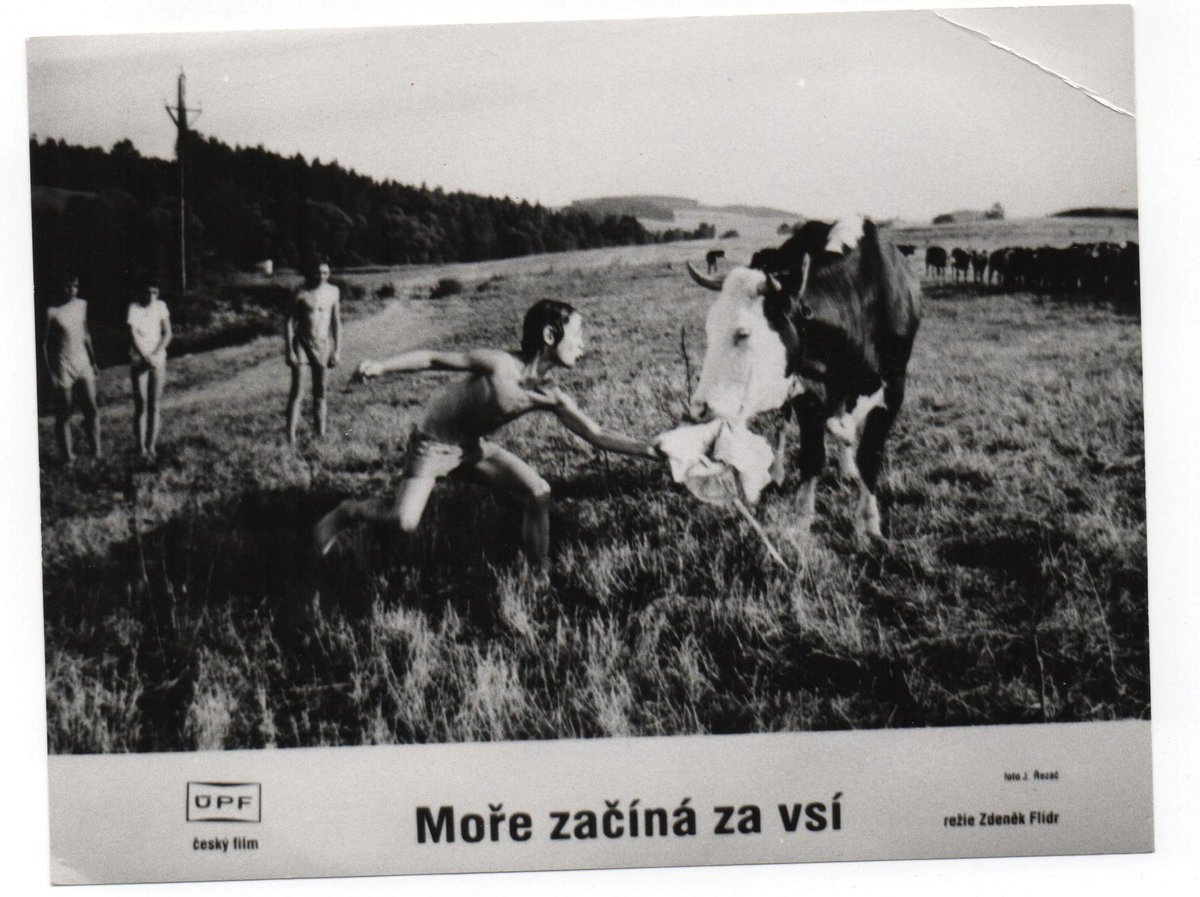 1987. Před kamerou stál poprvé v osmi letech. V rodinném filmu Moře začíná za vsí.