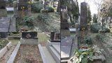 Hrůzné historky, bizarní příběhy: Praha okoření na Dušičky návštěvu hřbitovů aplikací