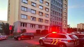 Po parapetu okna v panelovém domě v Opatovské ulici měly běhat ve výšce dvě malé holčičky. Policie se případem zabývá. 