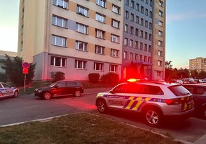 Po parapetu okna v panelovém domě v Opatovské ulici měly běhat ve výšce dvě malé holčičky. Policie se případem zabývá. 