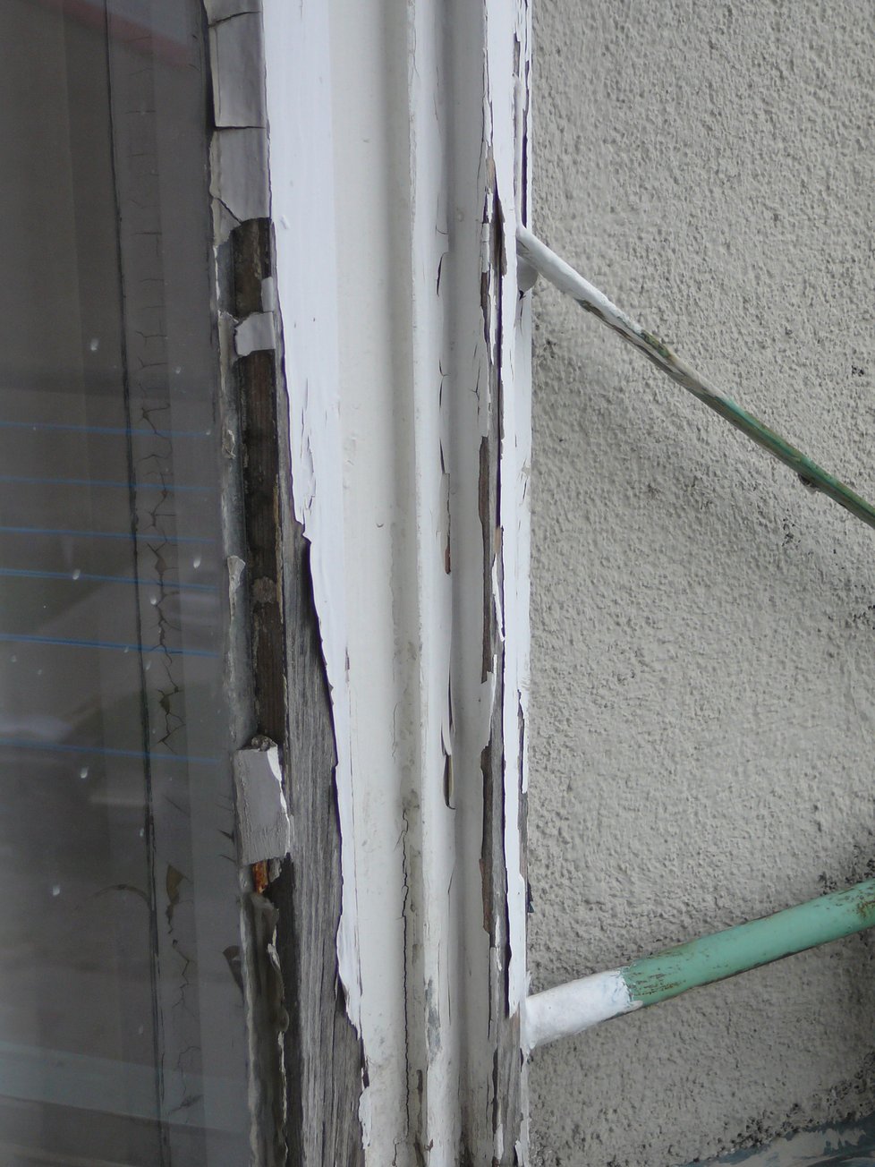 Okna v bytovém domě přímo v centru Opavy jsou už dávno nepoužitelná. Když prší, zatéká do bytů a tvoří se plíseň. Vodní mapy na stěnách jsou klasickým úkazem.