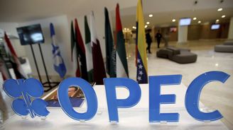 OPEC plní kvóty, Saúdská Arábie snižuje těžbu i za ostatní