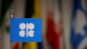 Logo OPEC+