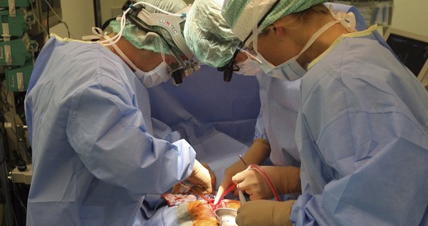 V nemocnici v Motole podstoupil operaci srdce dětský pacient