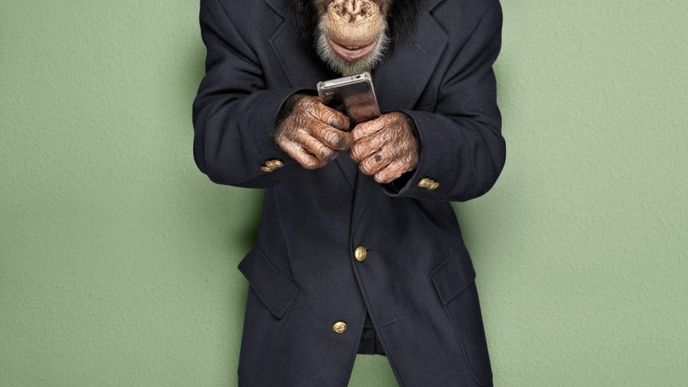 Opice, jak je vcelku známo, mají sklony napodobovat. V politice by mohly být užitečné