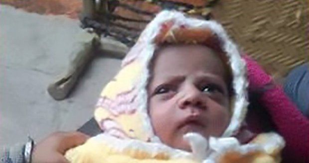 Kojící matce vytrhla opice dvanáctidenní miminko: Chlapečka zabila!