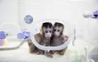 Číňané namnožili ve zkumavce roztomilé makaky.