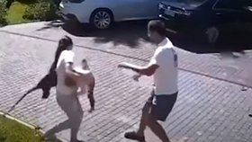 Opice v Rusku napadla 2letou dívku z Ukrajiny.