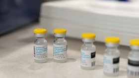 Očkování proti opičím neštovicím v USA