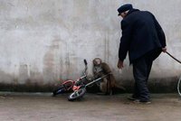 Ne, prosím, ne: Vyděšená opička se snaží utéct krotiteli z cirkusu, marně...