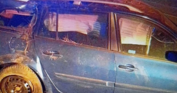 Neovladatelné auto trefilo strom.