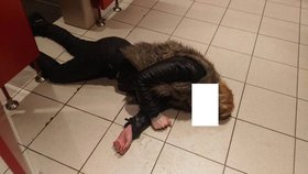 Žena (30) zapíjela partnerskou krizi: Totálně opilá chrápala na toaletách obchodního centra v Plzni