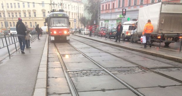 Opilec (38) s třemi promile a psem blokoval delší dobu dopravu na Štefánikově ulici v Brně. Skončil na záchytce. Ilustrační foto