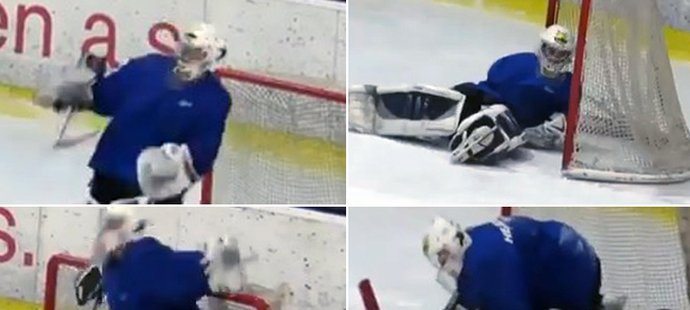 Opilý hokejový brankář a jeho psí kusy se staly okamžitě hitem internetu