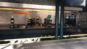 Pravděpodobně opilý muž spadl do kolejiště stanice metra Černý Most, prostor odmítal opustit.