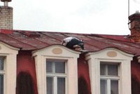 Opilec prospal noc na střeše: Sundat ho museli hasiči