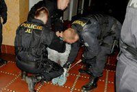 Gang údajně okradl české banky a pojišťovnu o 1,4 miliardy: Policisté obvinili čtyři lidi