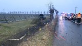 Opilecká jízda skončila ve vinohradu: Vždyť jsem měl jen dvě deci vodky, hájil se šofér