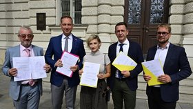 Opoziční představitelé podali k Ústavnímu soudu žádost ohledně zákona o rozpočtové odpovědnosti (4.9.2026)