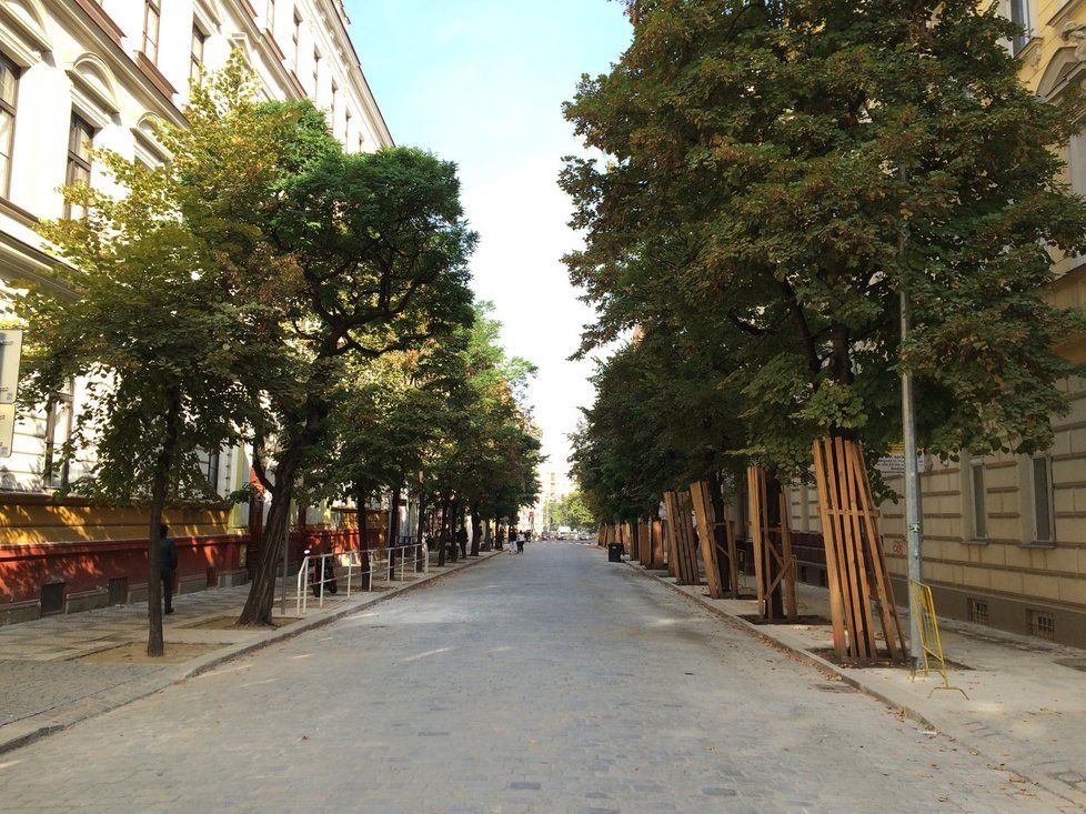 První etapa rekonstrukce Belgické ulice je prakticky dokončená.