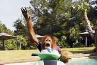 Orangutanka na vodním skútru