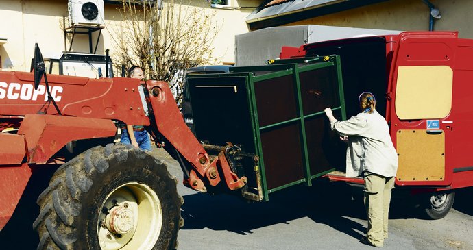 Opičí kluci cestovali do Bratislavy ve speciálních transportních bednách o rozměrech 1,20 m x 1,20 m