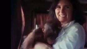 V pondělí ve věku 39 let zemřela televizní hvězda dokumentu „The Ape Who Went to College“.