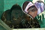 Orangutani Elmar a Satu