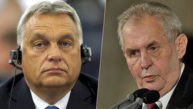 Zeman se hodlá omluvit Orbánovi.