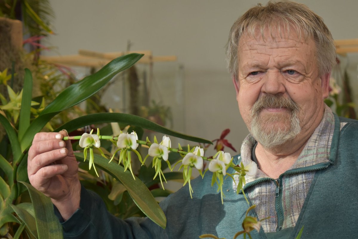 Jiří Zimandl (66) ukázal nejcennější exponát výstavy, kvetoucí exemplář větrobýlu, který roste pouze na Madagaskaru.