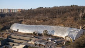 Výstava orchidejí ve skleníku Fata Morgana v trojské botanické zahradě