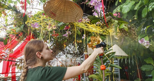 Výstava orchidejí ve skleníku Fata Morgana v trojské botanické zahradě