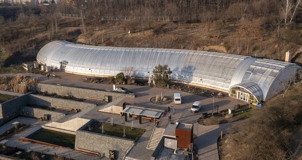 Výstava orchidejí ve skleníku Fata Morgana v trojské botanické zahradě