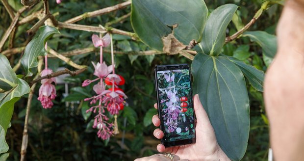 Výstava orchidejí ve skleníku Fata Morgana v trojské botanické zahradě