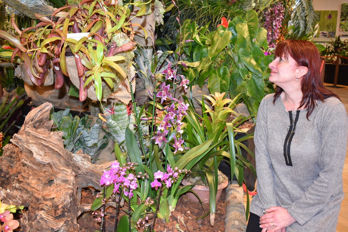 Krásu orchidejí obdivovala Renata Nováčková z Českých Budějovic. Je pravidelným návštěvníkem této výstavy, která se v muzeu koná už od roku 2000.