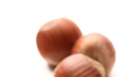 Lískové ořechy (ilustrační foto)