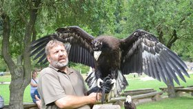 Sokolník Eda si splnil svůj životní sen, získal do svého chovu největšího orla na světě.