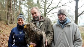 Před 3 týdny - Libor Šejna drží v ruce zraněného orla, kterého v lese našli manželé Holečkovi