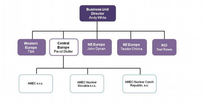 Organizační struktura společnosti Amec