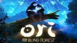 Poetická i vizuální nádhera plná emocí: Recenze Ori and The Blind Forest