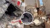 Čeští záchranáři pomáhají po zemětřesení ve Venezuele: Psi Origami a Szizor hledají přeživší