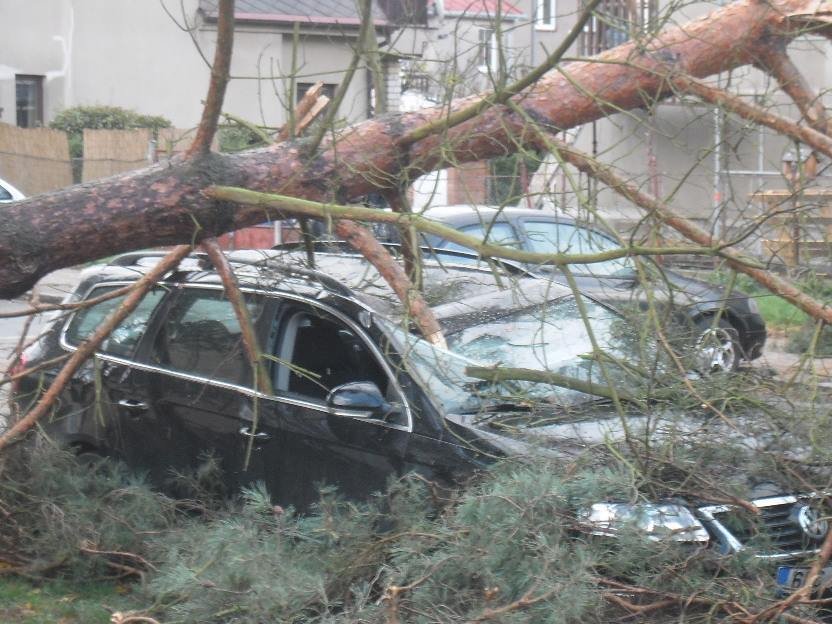 Orkán Herwart (2017) devastoval Českou republiku v neděli. Při řádění zničil nejedno auto.