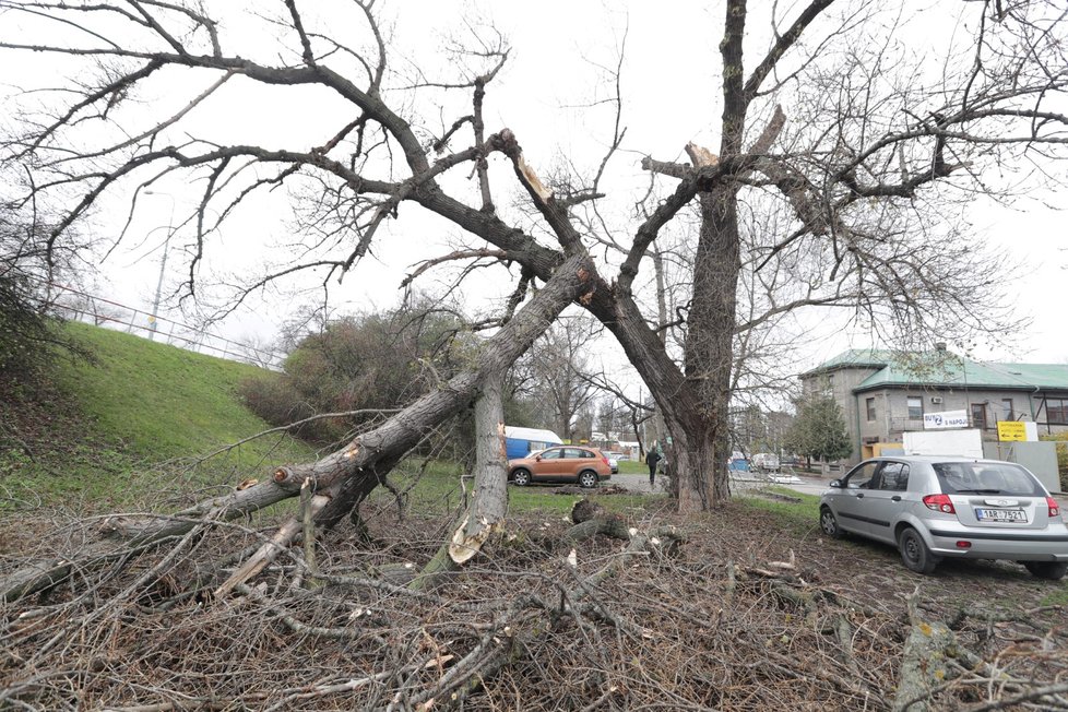 Škody po vichřici Herwart pojišťovny stály 1,5 miliardy korun.