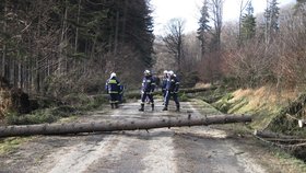 Foto ze zásahu hasičů ve Zlínském kraji, kde silný vítr lámal stromy